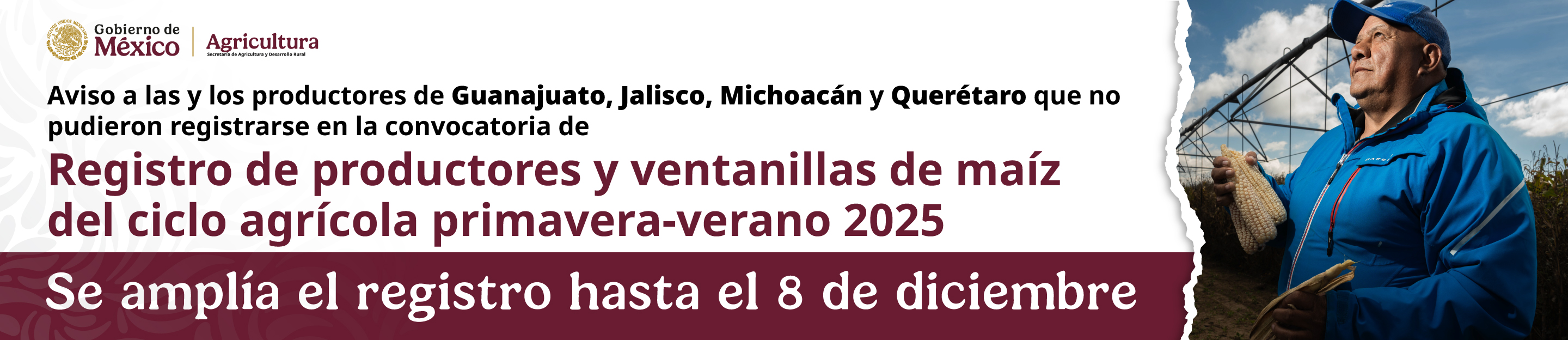 Ampliación plazo registro maíz